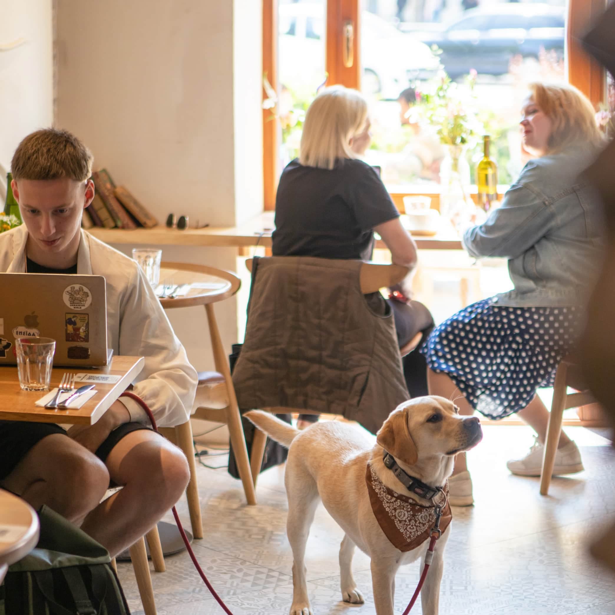 Bistro of everyday Ukrainian food Inshi in Lviv